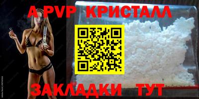 СК Шахты