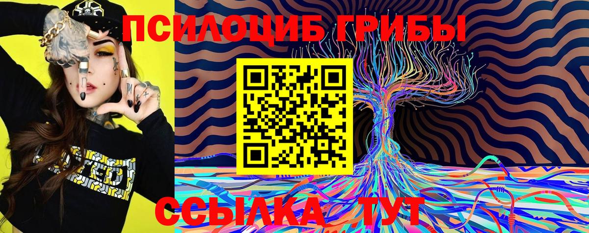 Псилоцибиновые грибы Magic Shrooms  Псилоцибиновые грибы Psilocybe  Вход с VPN  Богородск 