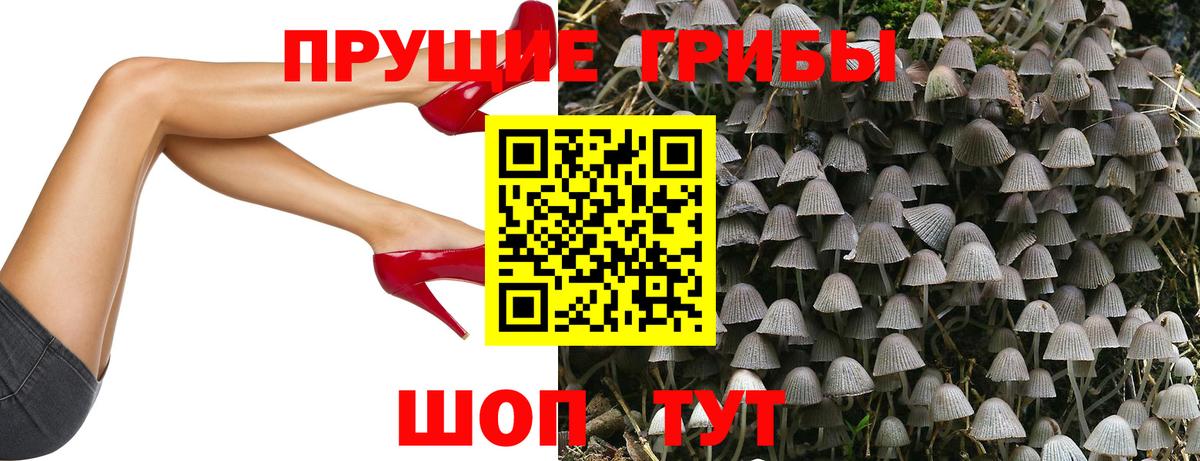 Галлюциногенные грибы Magic Shrooms Богородск